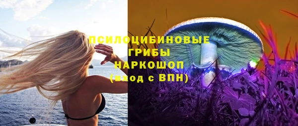 кокс Алзамай
