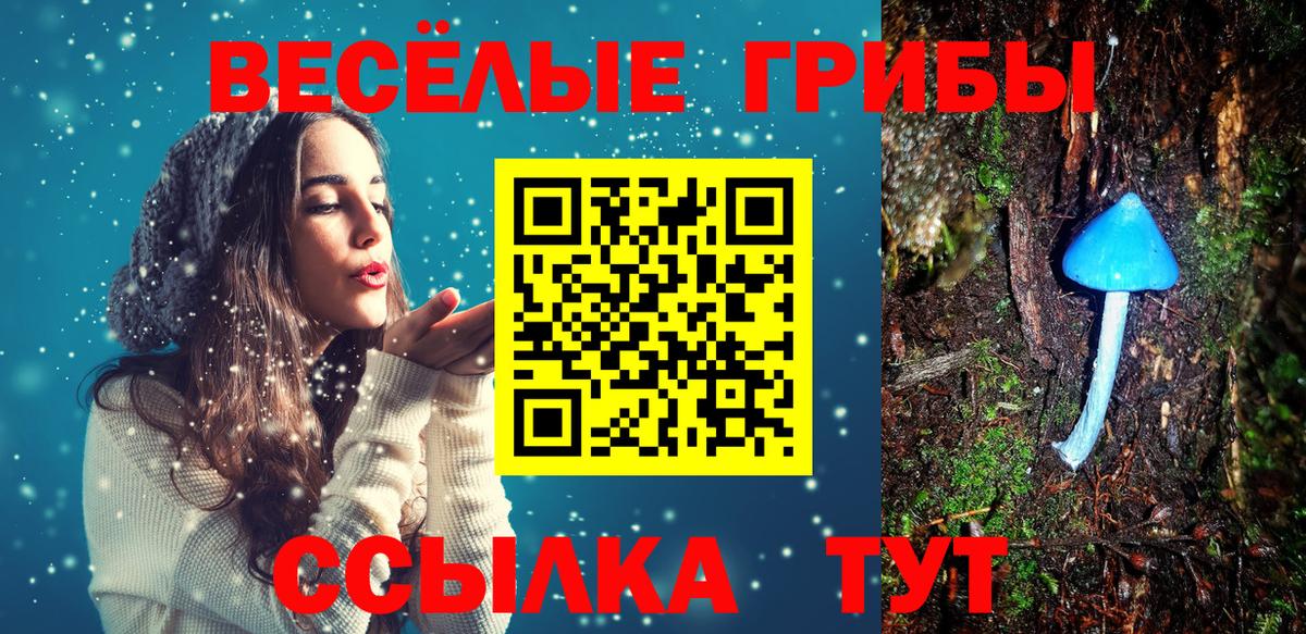 Галлюциногенные грибы мухоморы  магазин  наркотиков  Сухой Лог  Вход с VPN 
